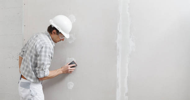 Best Residential Mold Inspection & Testing  in USA